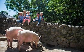 Treacys Oakwood Hotel, Shannon